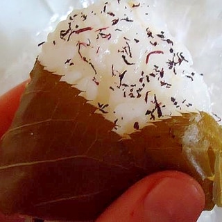 桜の葉 塩漬けレシピ 作り方の人気順 簡単料理の楽天レシピ 桜の葉 塩漬けレシピ 作り方の人気順 簡単料理の楽天レシピ